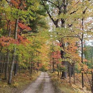 Meet your Posher, Ann
